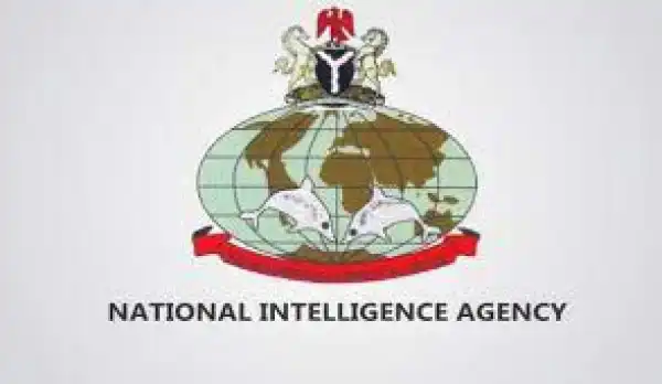 Dauda not reinstated as DG – NIA