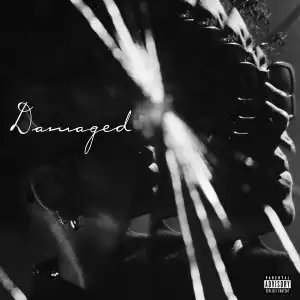 TheARTI$t – Damaged