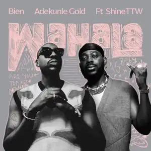 Bien, Adekunle Gold and ShineTTW - Wahala