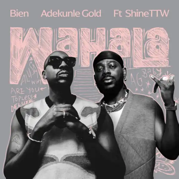 Bien, Adekunle Gold and ShineTTW - Wahala