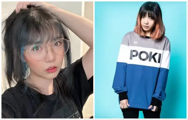 Career & Net Worth Of LilyPichu