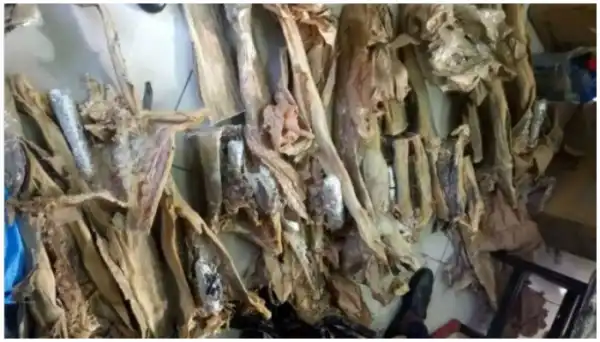 FMARD, stakeholders discuss illegal stockfish importation