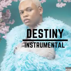 Boy Spyce – Destiny (Instrumental)