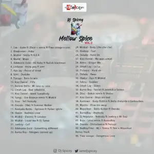 DJ Spicey – Mellow Spice Mix (Vol. 2)