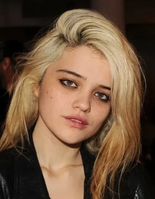 Biography & Career Of Sky Ferreira