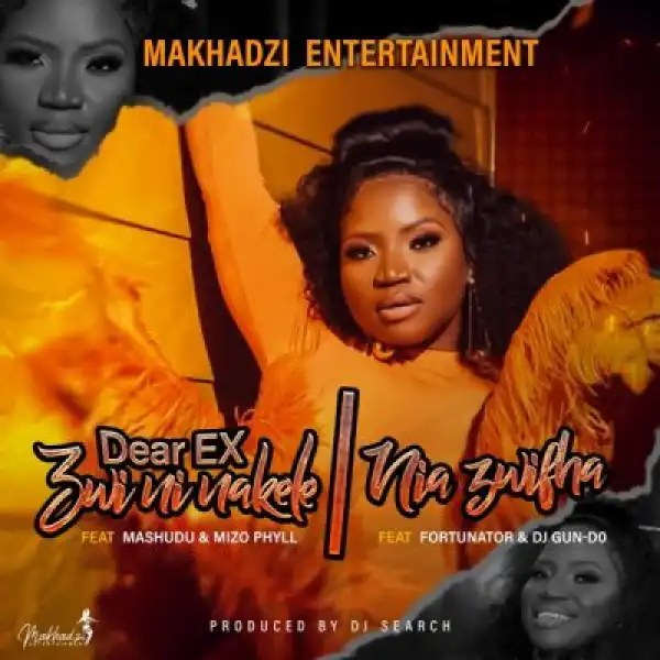 Makhadzi Entertainment – Niazwifha ft Fortunator & DJ Gun Do SA