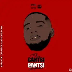 Vusinator – The GantsiGantsi Definition (Album)