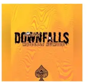 Mr Dlali Number – Limited Downfalls
