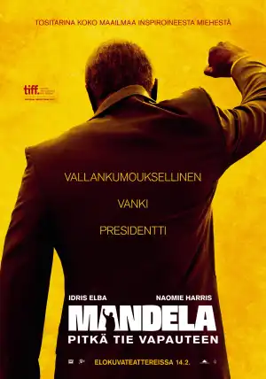 Mandela Long Walk to Freedom (2013)