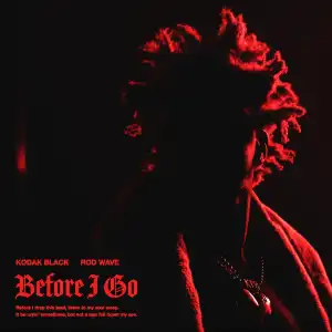 Kodak Black Ft. Rod Wave – Before I Go (Instrumental)