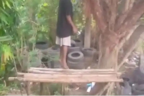 Man Found Hanging From Tree Along LASU-Isheri Road