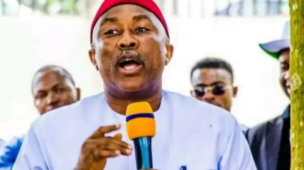 Upset In Imo PDP Primaries As Former Imo SSG, Onyeagucha Emerged.
