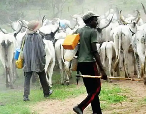 Delta women protest herdsmen attacks