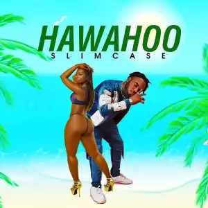 Slimcase – Hawahoo