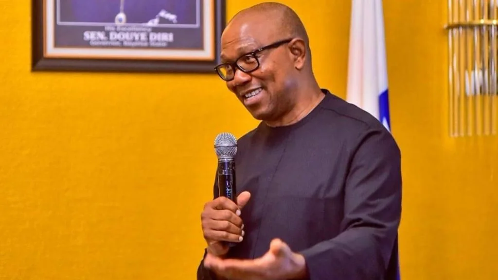 2023: Peter Obi, best choice for Nigerians – Social crusader Ogidi-Paul