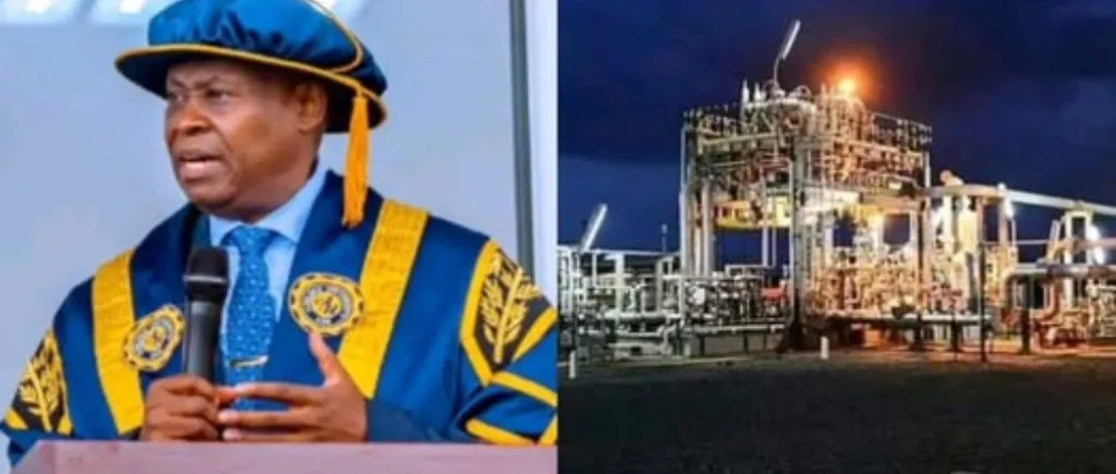 Davido’s Father, Deji Adeleke, Set to Commission 1,250MW Power Plant in Ondo