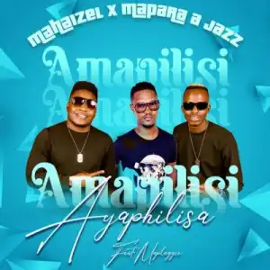 Mahaizel, Mapara A Jazz, Maplaggie – Amapilisi Ayaphilisa