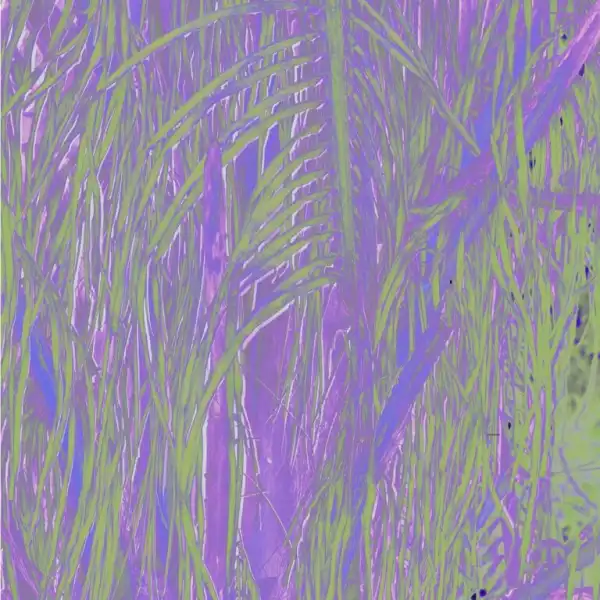 Omagoqa – Jumanji ft Sizwe Alakine, K.Keed, JEPEDOH, Mvelo Makhanya & Ms. Cosmo