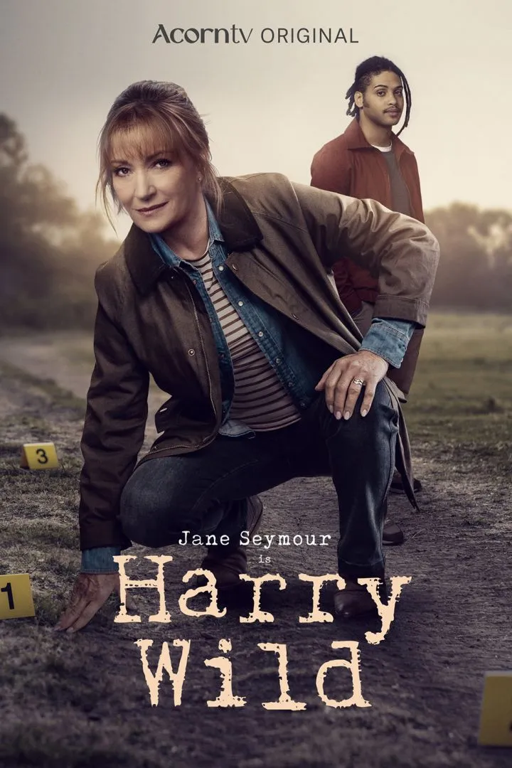 Harry Wild Season 4