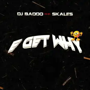 DJ Baddo ft. Skales – E Get Why