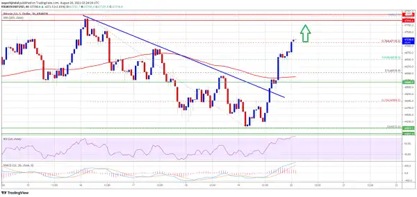 Bitcoin Regains Strength, Why BTC Could Hit $50 This Time