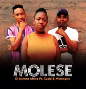 Dj Mimmz Africa – Molese Ft. Cupid & Morongwe (Original)