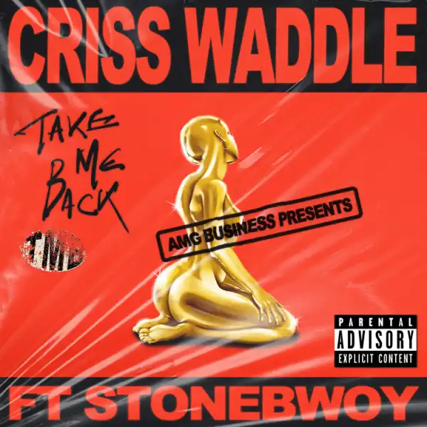 Criss Waddle ft. Stonebwoy – Take Me Back