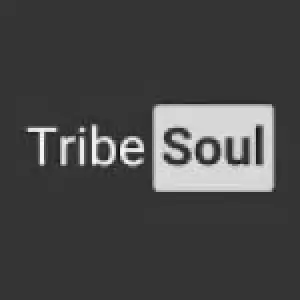 TribeSoul – C Section (Tech Feel)