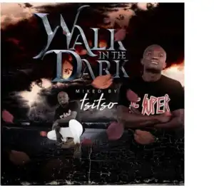 Tsitso – Walk In The Dark