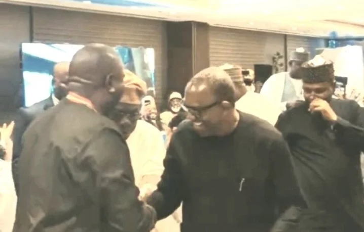 Obasanjo hands over seat to Peter Obi