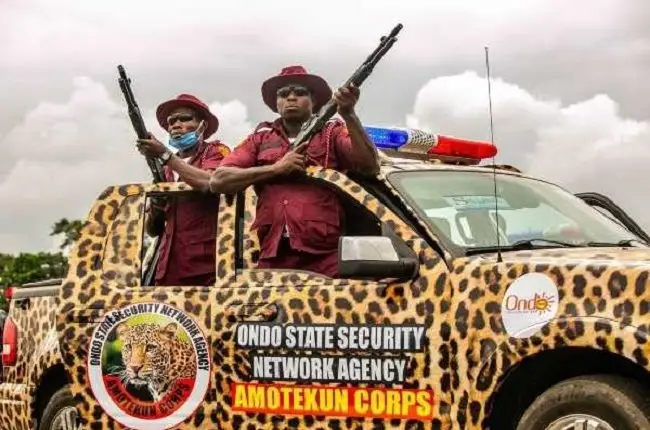 Osun Amotekun arrests minors for alleged burglary, theft