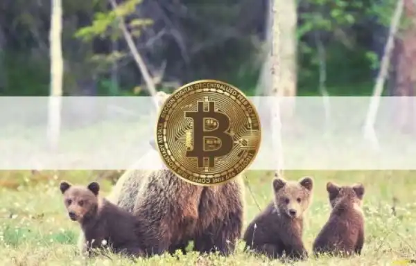 Bearish: Bitcoin Transfers to Spot Exchanges at Highest Levels Since March 2020 Crash