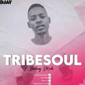 TribeSoul – Static (Main Mix)