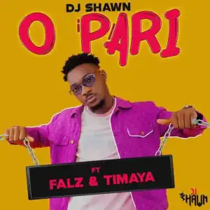 DJ Shawn ft. Falz & Timaya – O Pari