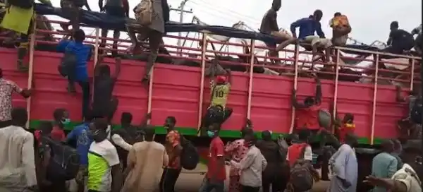 Lockdown: 40 Men From Zamfara Hidden Inside A Truckload Of Cows Intercepted In Lagos