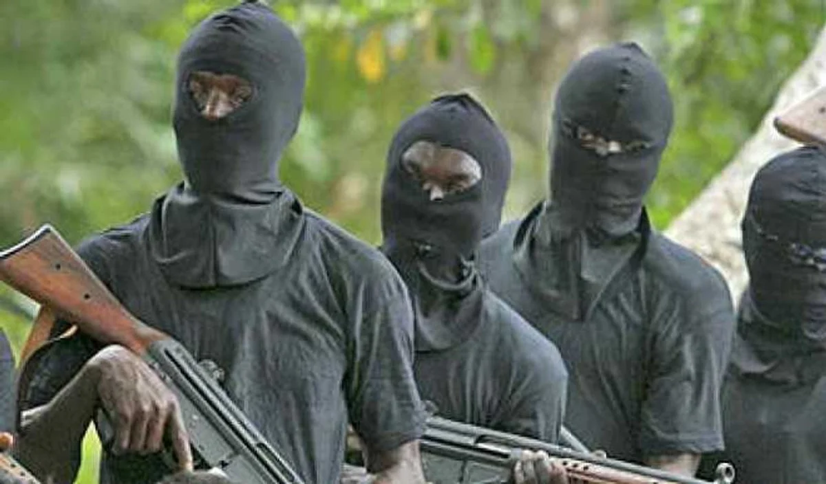 Terrorists gun down students in Nigerian school