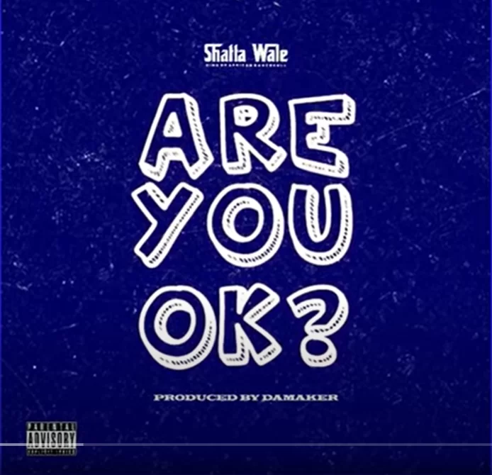 Shatta Wale – Are You Ok