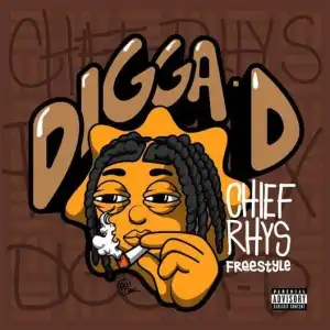 Digga D – Chief Rhys Freestyle (Instrumental)