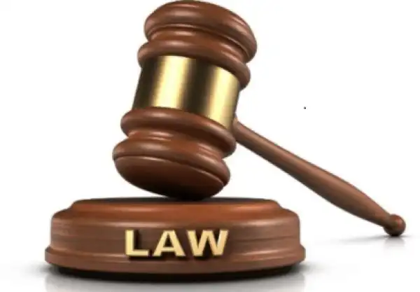 I Was Charmed By Two Men, Lady Who Stole Employer
