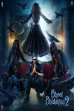 Bhool Bhulaiyaa 2 (2022) (Hindi)