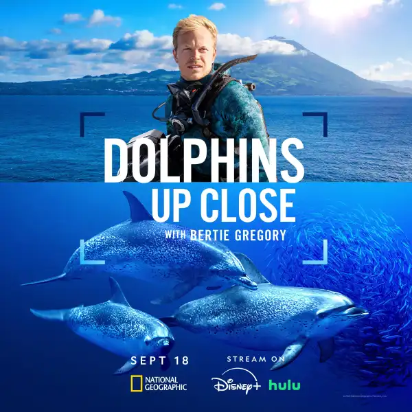 Dolphins Up Close with Bertie Gregory (2025)