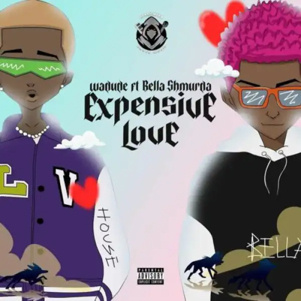 Wadude ft. Bella Shmurda – Expensive Love