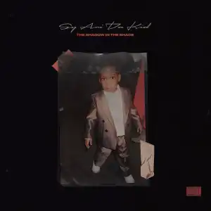 Sy Ari Da Kid – The Shadow In The Shade (Album)