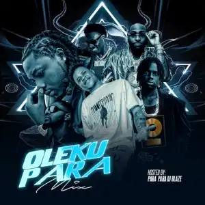 DJ Blaze – Oleku Para Mix