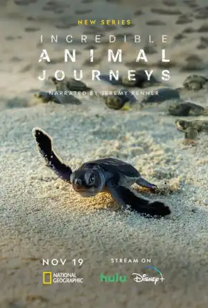 Incredible Animal Journeys Season 1