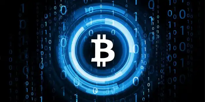 Who Else Is Affected By The Crypto Crash? Share Your Experience (Meme)