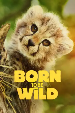 Born to Be Wild Season 1