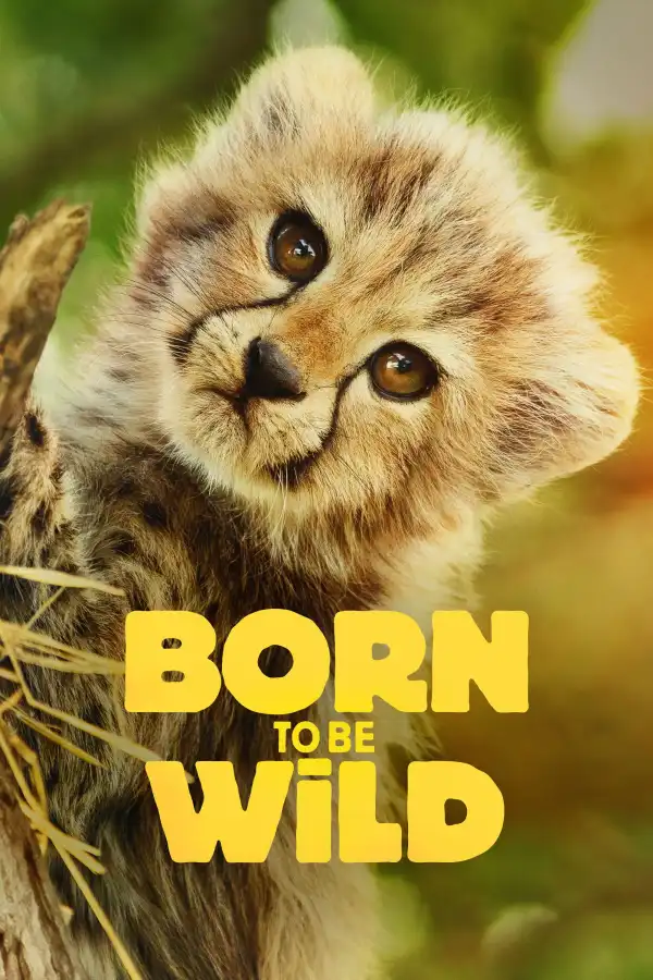 Born to Be Wild (2025 TV series)