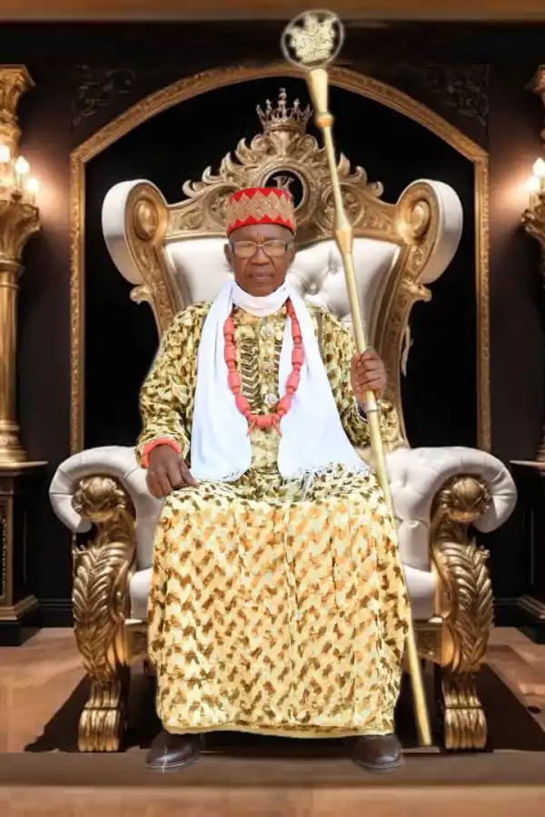 Ebonyi community distances self from purpoted banishment of town union president