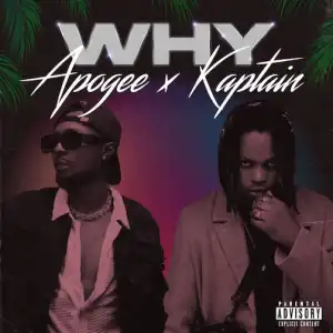 Apogee – Why Ft. Kaptain